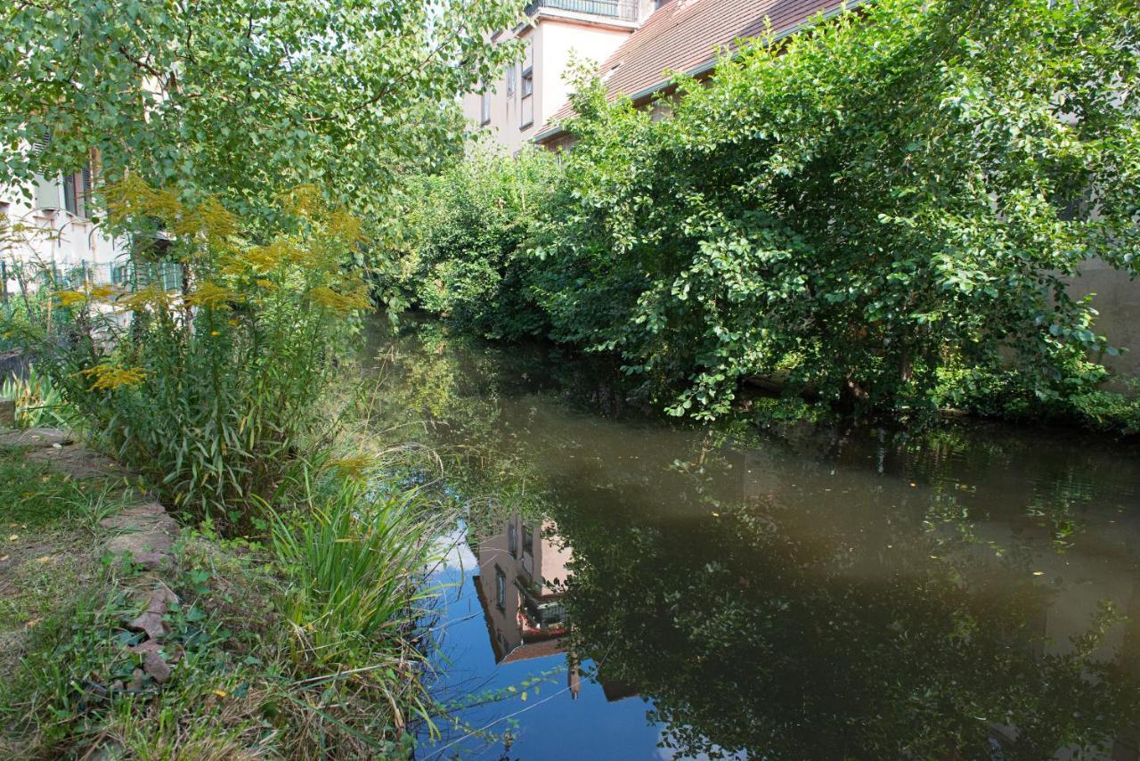 Meuble Le Coin Tranquille Διαμέρισμα Σαβέρν Εξωτερικό φωτογραφία